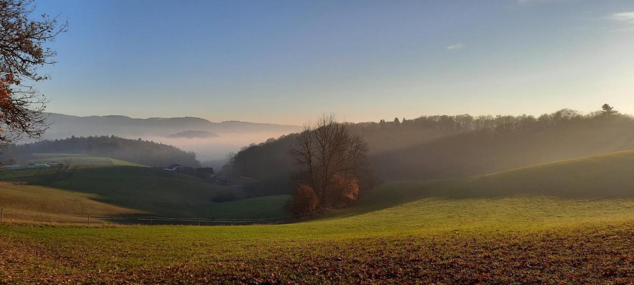 Ferienwohnung Dorfzeit Moerlenbach Екстер'єр фото